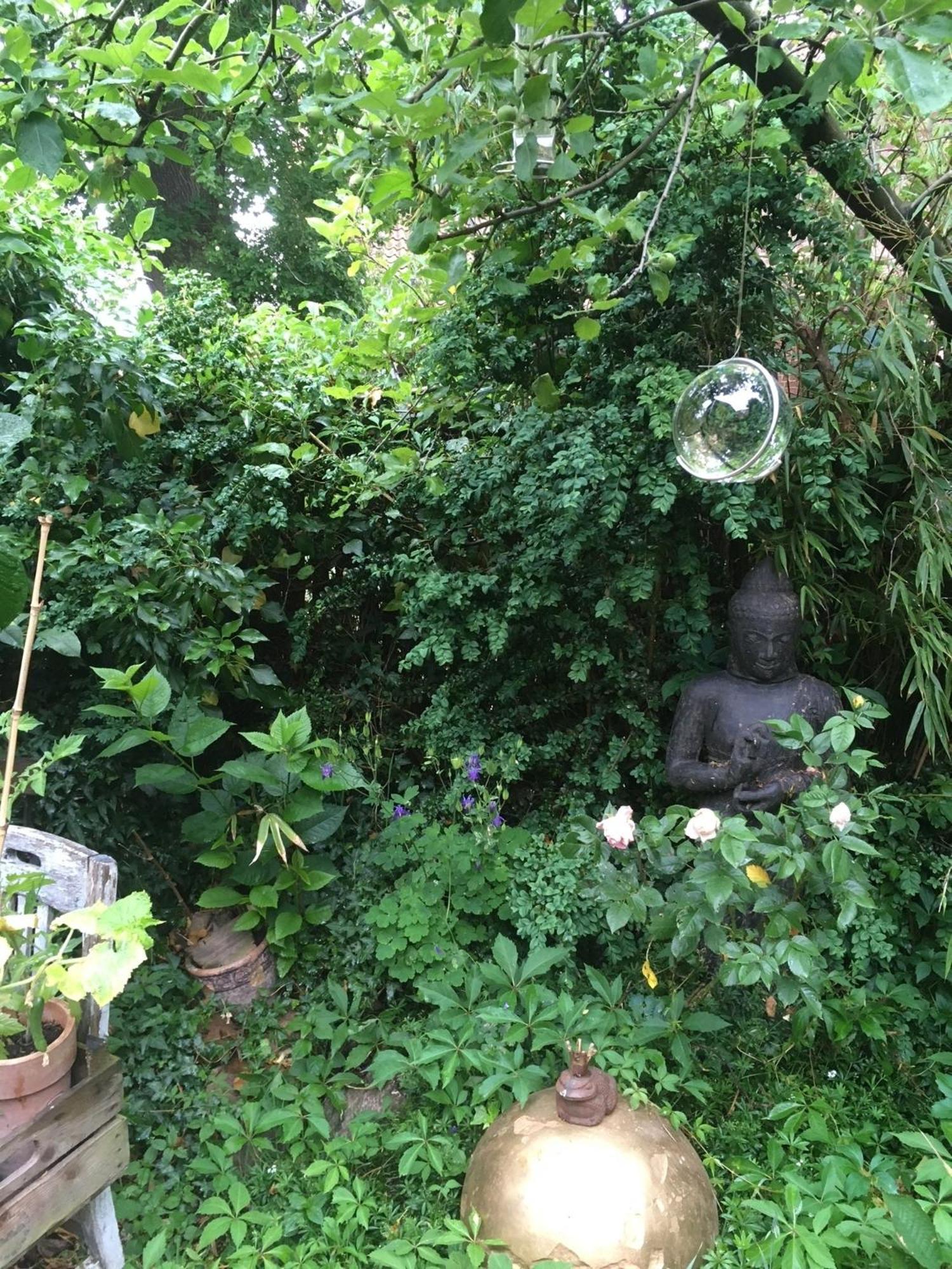 Grosse Hobbithoehle Mit Gemeinschaftsgarten Neustadt am Rübenberge Dış mekan fotoğraf